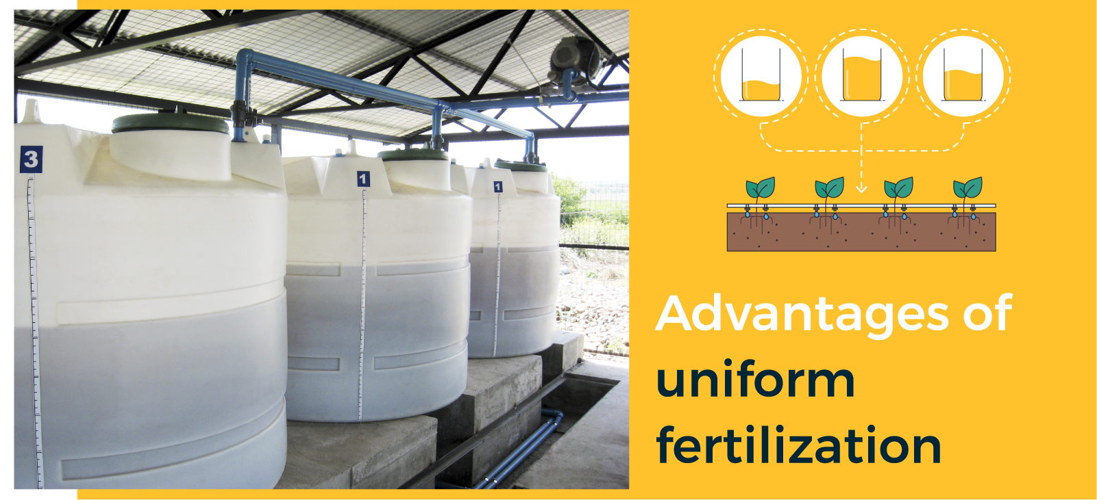 Uniform fertilization Uniform fertilization